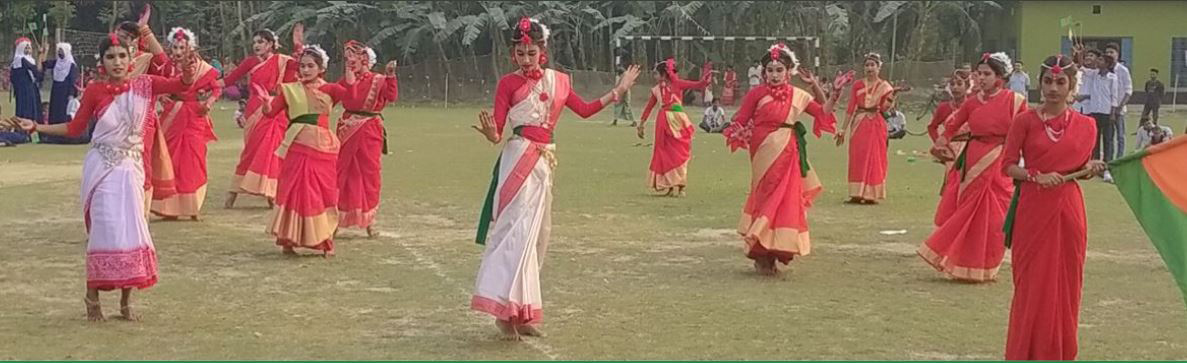 ডিস্প্লে